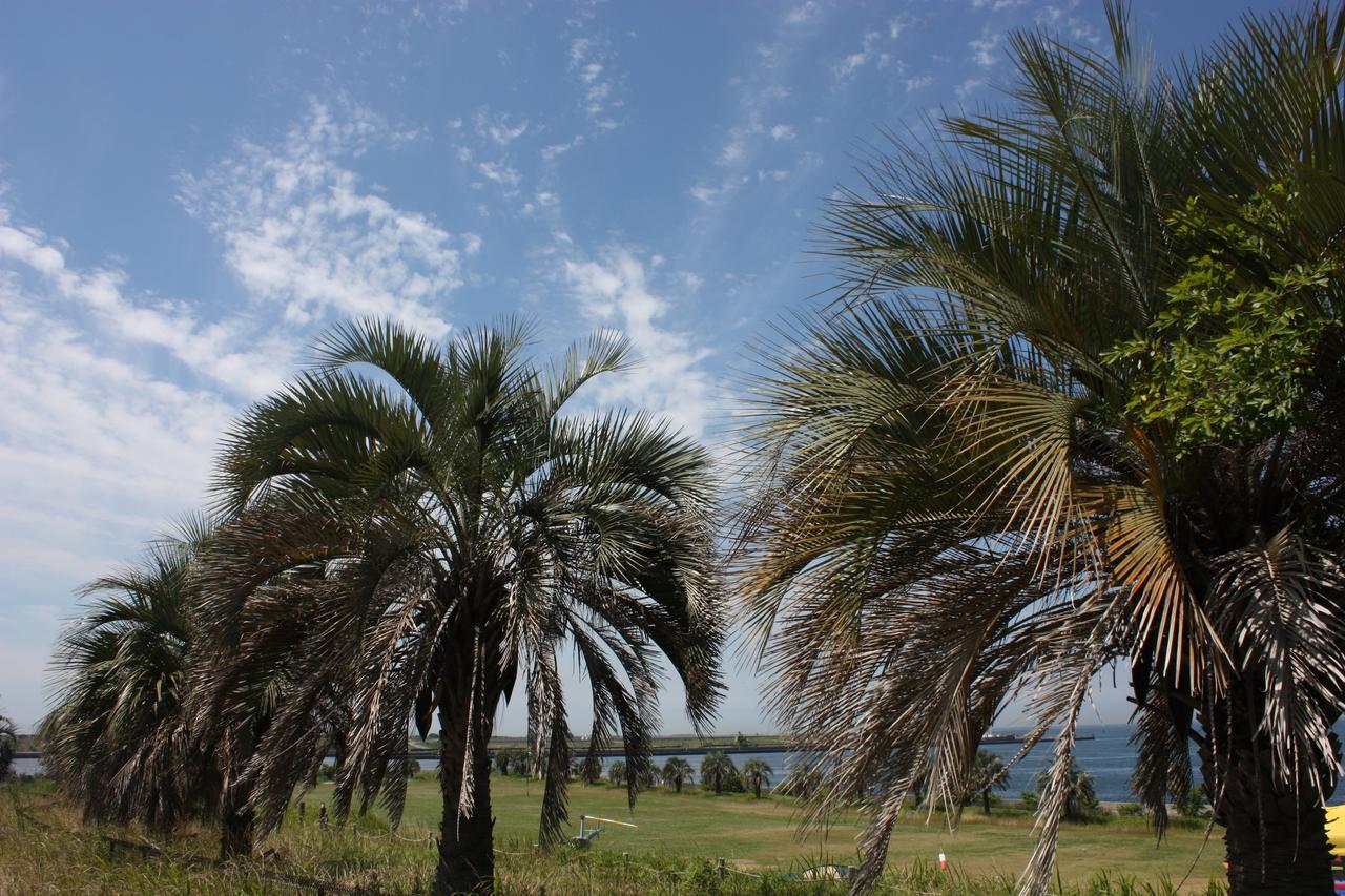 Palm Garden Maishima By Wbf Osaka Exterior foto